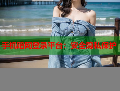 手机暗网登录平台：安全隐私保护