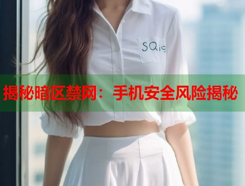 揭秘暗区禁网：手机安全风险揭秘