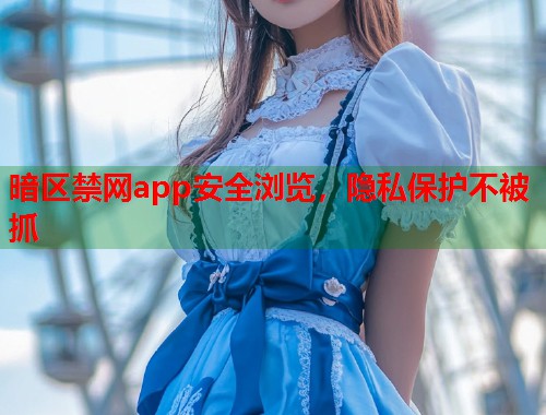 暗区禁网app安全浏览，隐私保护不被抓