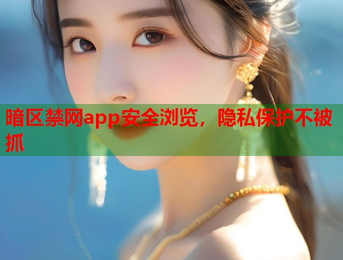 暗区禁网app安全浏览，隐私保护不被抓  第2张