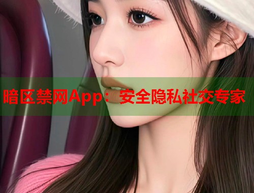 暗区禁网App：安全隐私社交专家