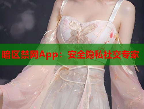 暗区禁网App：安全隐私社交专家  第2张