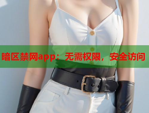 暗区禁网app：无需权限，安全访问