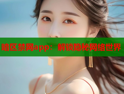 暗区禁网app：解锁隐秘网络世界