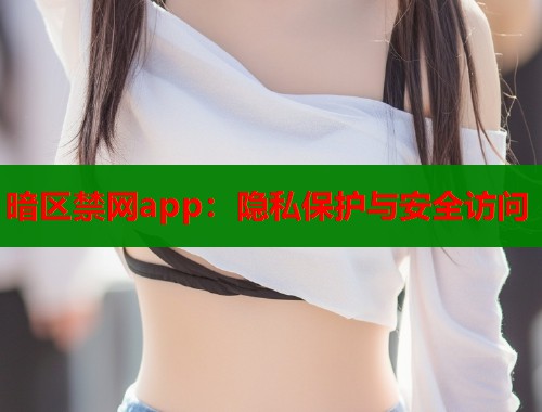暗区禁网app：隐私保护与安全访问