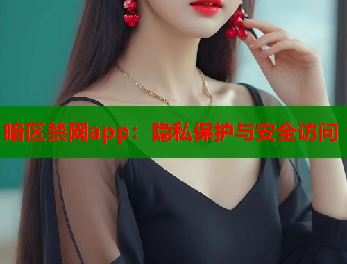 暗区禁网app：隐私保护与安全访问  第2张
