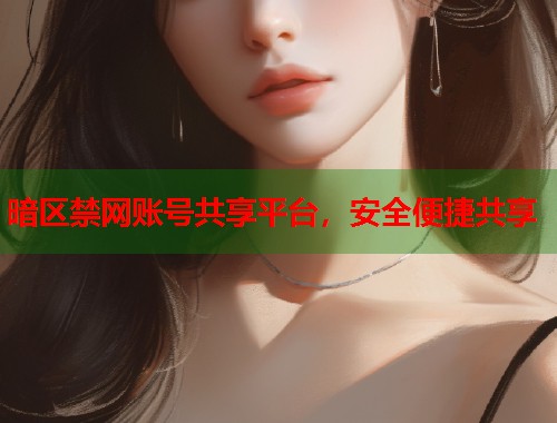 暗区禁网账号共享平台，安全便捷共享