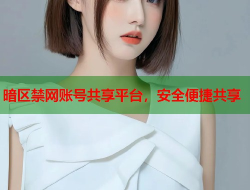 暗区禁网账号共享平台，安全便捷共享  第2张