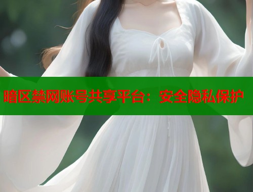 暗区禁网账号共享平台：安全隐私保护