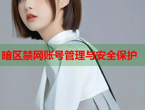 暗区禁网账号管理与安全保护