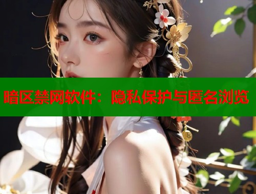 暗区禁网软件：隐私保护与匿名浏览