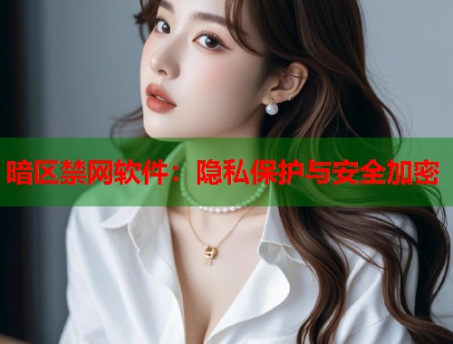 暗区禁网软件：隐私保护与安全加密