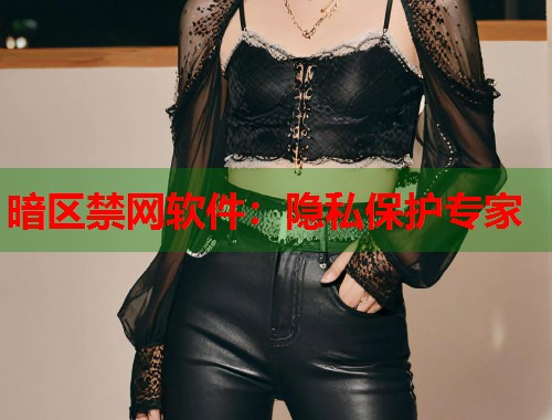 暗区禁网软件：隐私保护专家