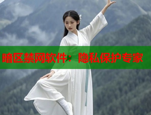 暗区禁网软件：隐私保护专家  第2张