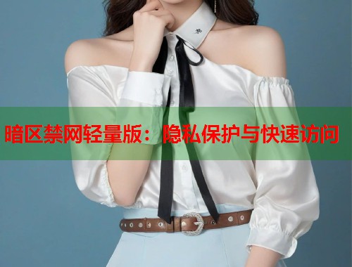 暗区禁网轻量版：隐私保护与快速访问