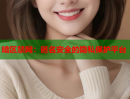暗区禁网：匿名安全的隐私保护平台