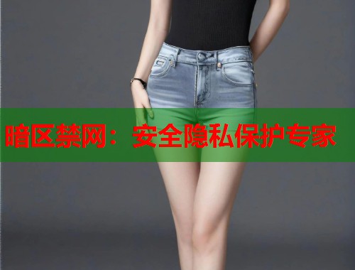 暗区禁网：安全隐私保护专家