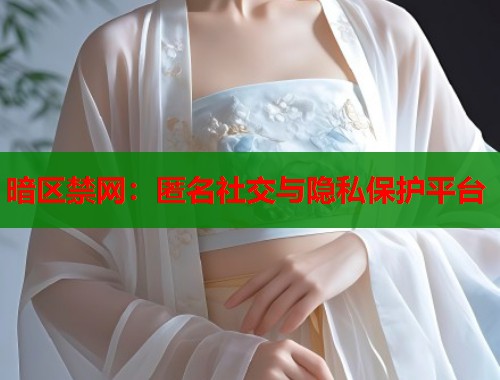 暗区禁网：匿名社交与隐私保护平台