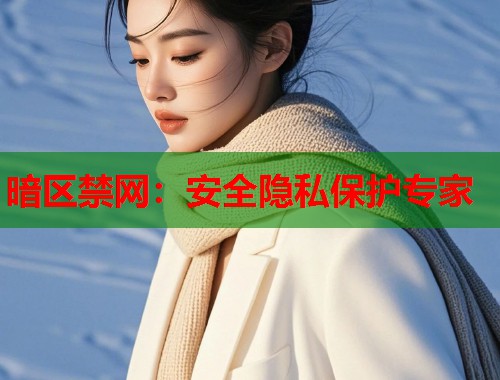 暗区禁网：安全隐私保护专家  第2张