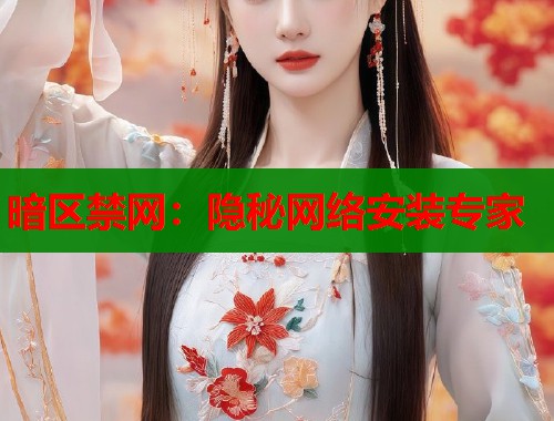 暗区禁网：隐秘网络安装专家