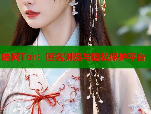 暗网Tor：匿名浏览与隐私保护平台  第1张