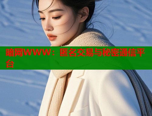 暗网WWW：匿名交易与秘密通信平台