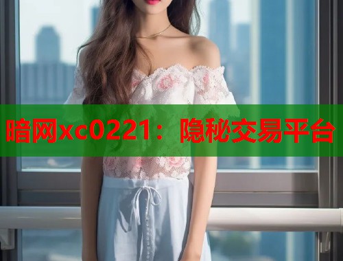 暗网xc0221：隐秘交易平台  第1张