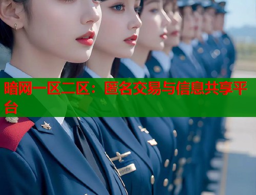 暗网一区二区：匿名交易与信息共享平台