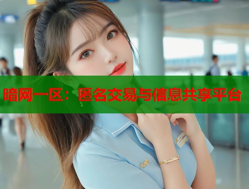 暗网一区：匿名交易与信息共享平台