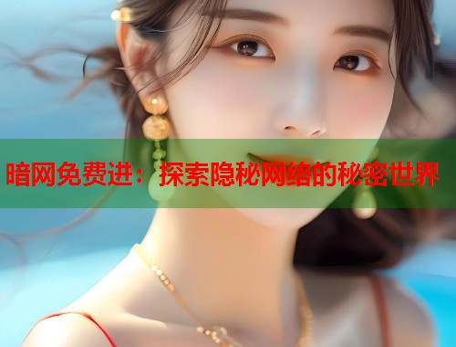 暗网免费进：探索隐秘网络的秘密世界  第1张