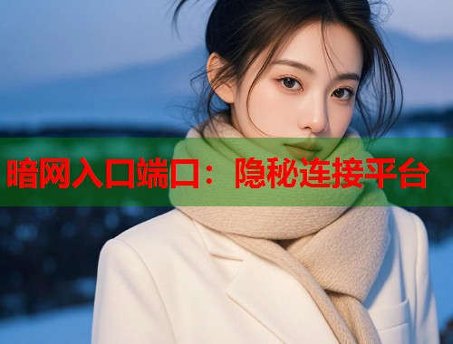 暗网入口端口：隐秘连接平台  第1张