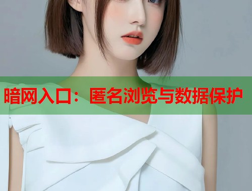 暗网入口：匿名浏览与数据保护  第2张