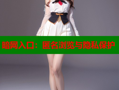 暗网入口：匿名浏览与隐私保护  第1张