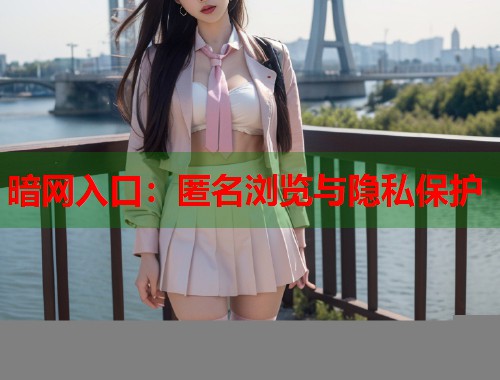 暗网入口：匿名浏览与隐私保护  第2张