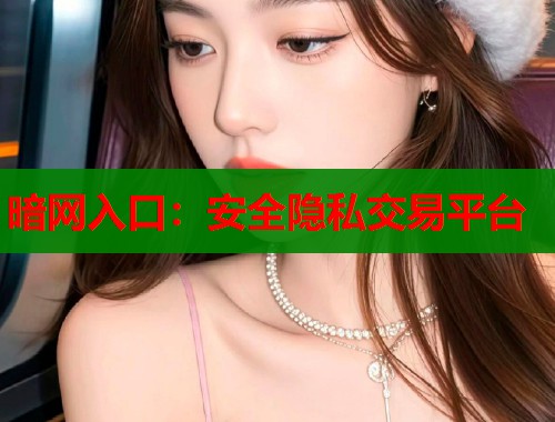 暗网入口：安全隐私交易平台  第2张