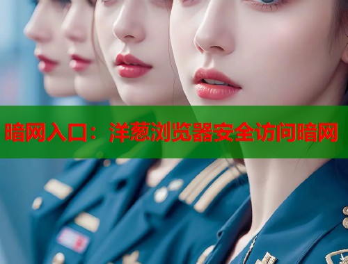 暗网入口：洋葱浏览器安全访问暗网