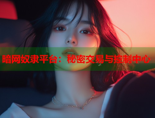 暗网奴隶平台：秘密交易与控制中心  第1张