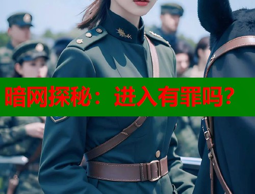 暗网探秘：进入有罪吗？  第2张