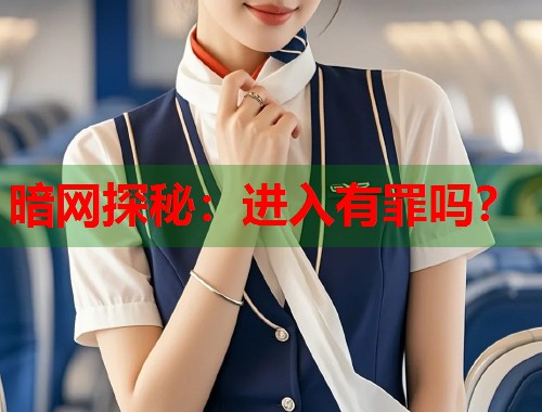 暗网探秘：进入有罪吗？  第1张