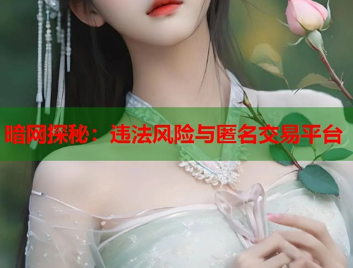 暗网探秘：违法风险与匿名交易平台  第2张