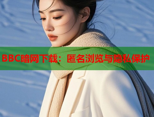 BBC暗网下载：匿名浏览与隐私保护  第1张