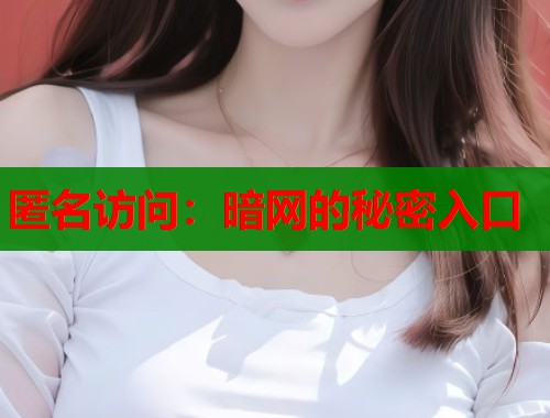 匿名访问：暗网的秘密入口  第1张