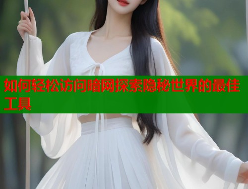 如何轻松访问暗网探索隐秘世界的最佳工具  第2张