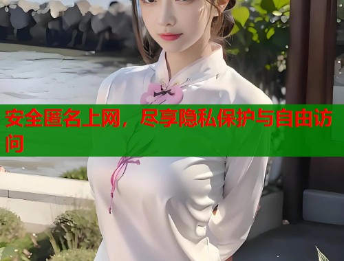 安全匿名上网，尽享隐私保护与自由访问  第1张