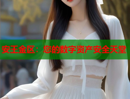 安王金区：您的数字资产安全天堂  第1张