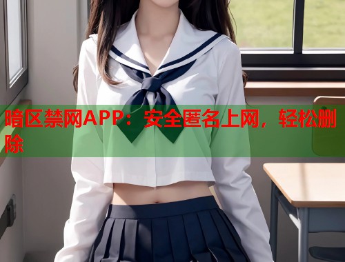 暗区禁网APP：安全匿名上网，轻松删除