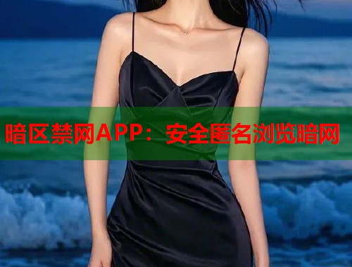 暗区禁网APP：安全匿名浏览暗网  第1张