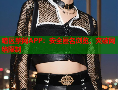 暗区禁网APP：安全匿名浏览，突破网络限制
