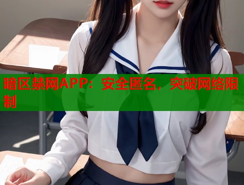 暗区禁网APP：安全匿名，突破网络限制  第1张