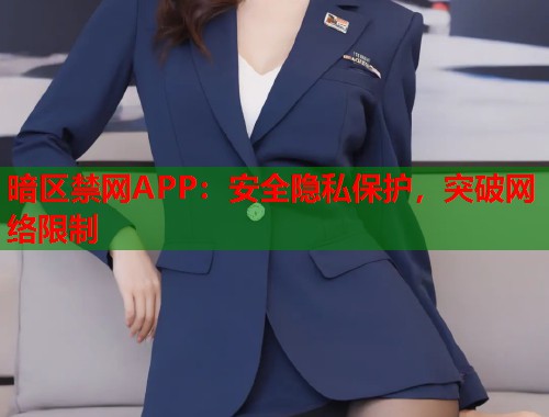 暗区禁网APP：安全隐私保护，突破网络限制  第1张